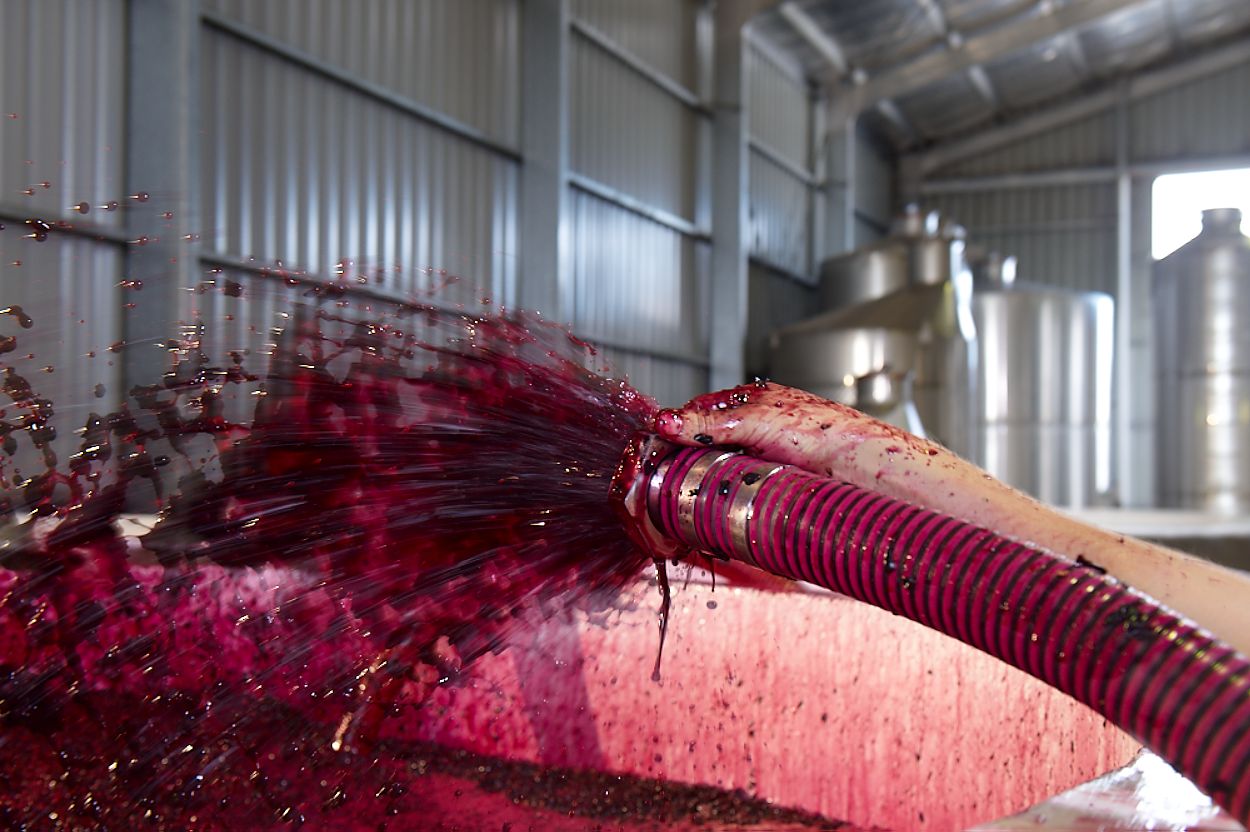 hose over fermenter