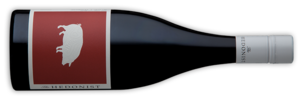 Ecology-Shiraz